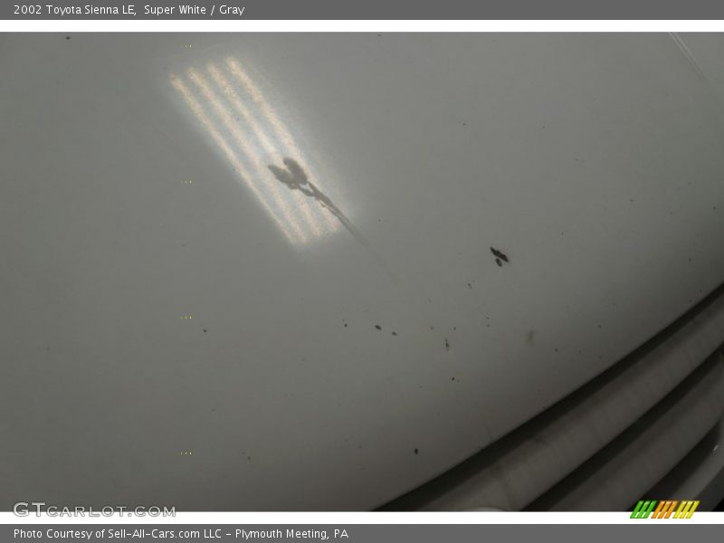 Super White / Gray 2002 Toyota Sienna LE