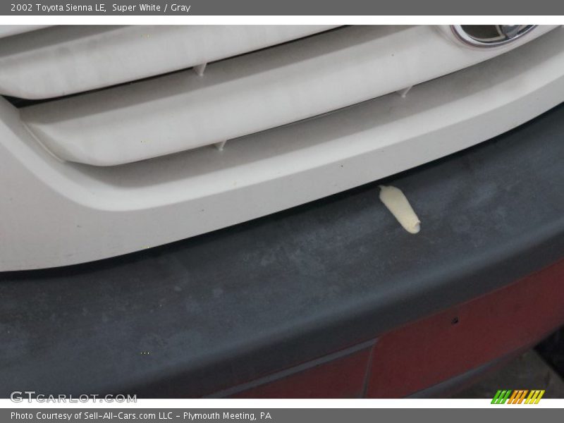 Super White / Gray 2002 Toyota Sienna LE