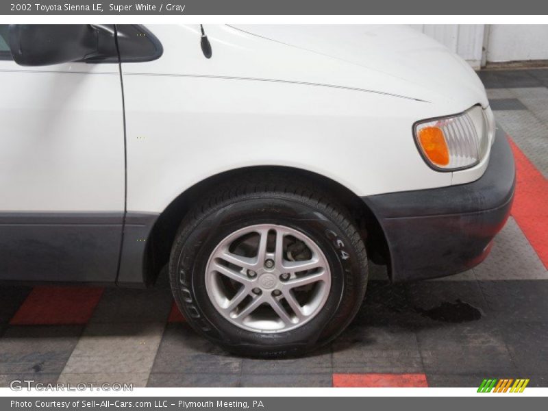 Super White / Gray 2002 Toyota Sienna LE