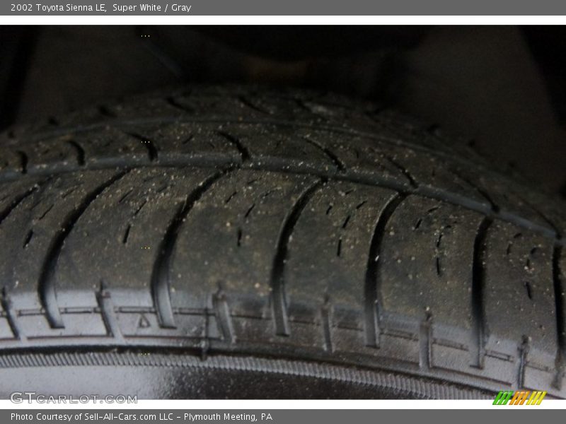 Super White / Gray 2002 Toyota Sienna LE