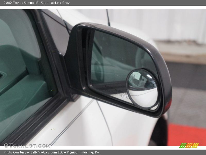 Super White / Gray 2002 Toyota Sienna LE