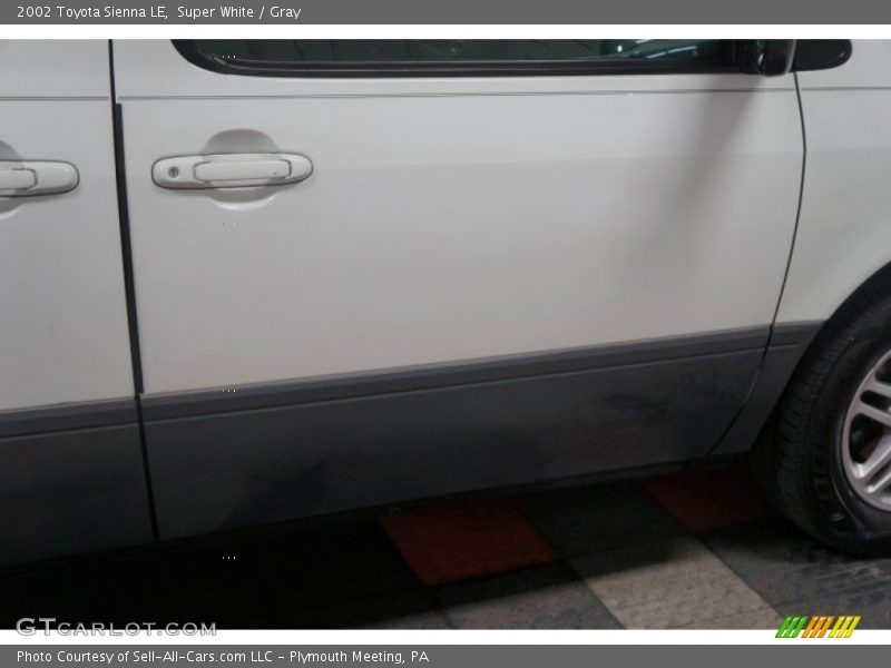 Super White / Gray 2002 Toyota Sienna LE