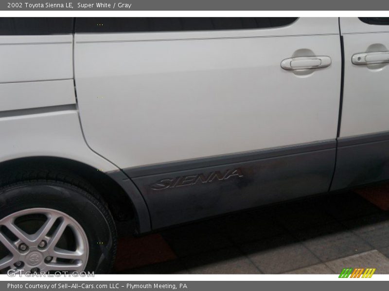 Super White / Gray 2002 Toyota Sienna LE