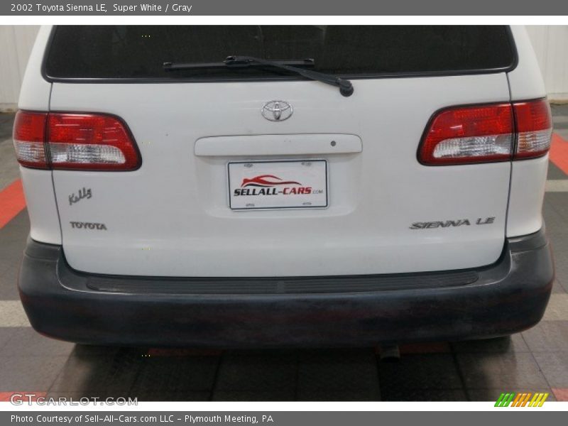 Super White / Gray 2002 Toyota Sienna LE