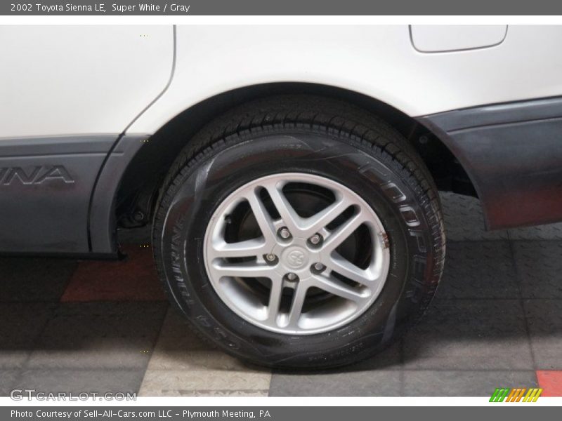 Super White / Gray 2002 Toyota Sienna LE