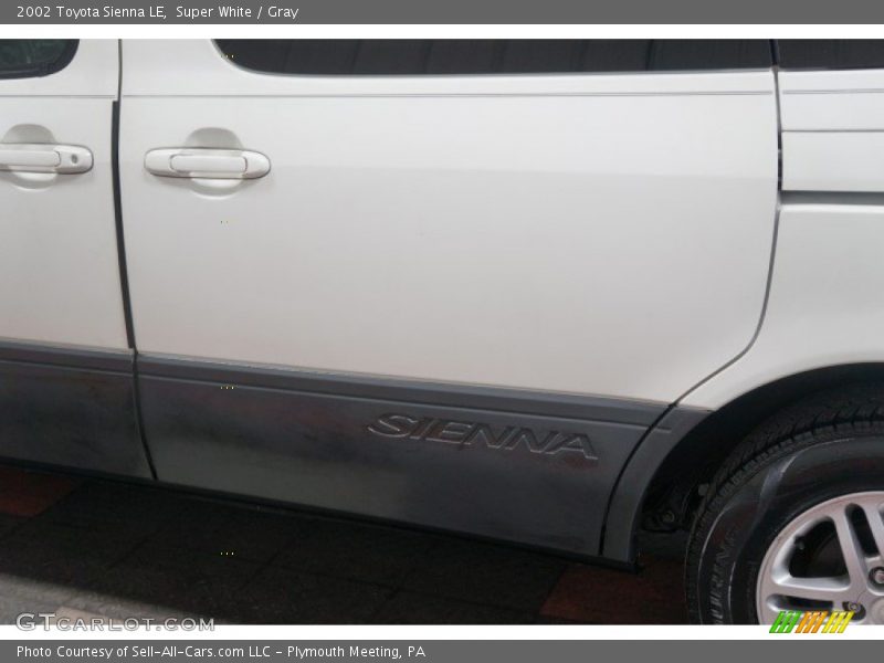 Super White / Gray 2002 Toyota Sienna LE