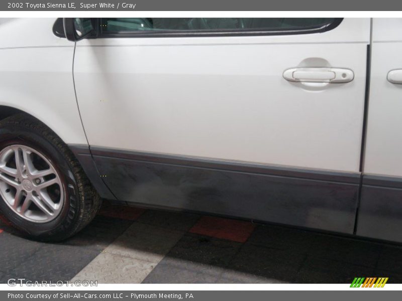 Super White / Gray 2002 Toyota Sienna LE
