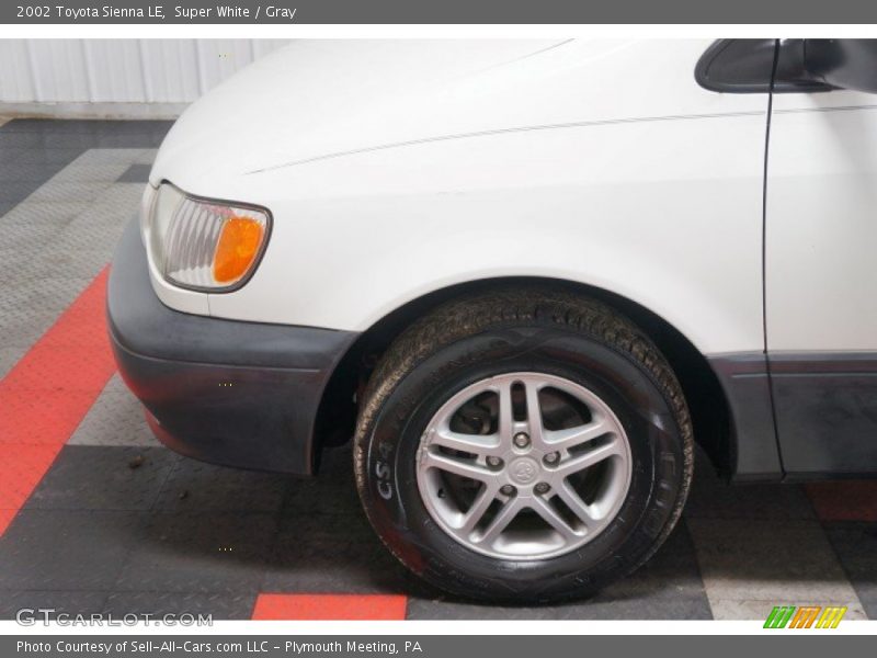 Super White / Gray 2002 Toyota Sienna LE