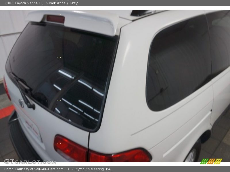 Super White / Gray 2002 Toyota Sienna LE
