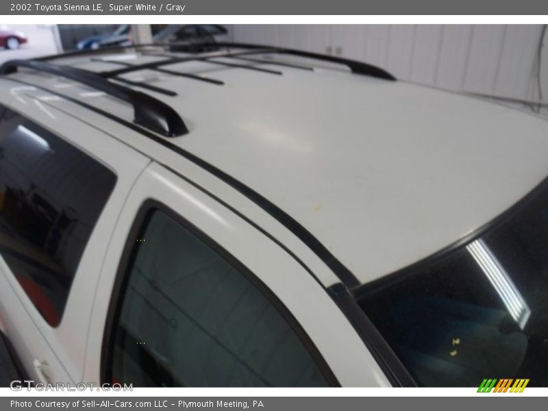 Super White / Gray 2002 Toyota Sienna LE
