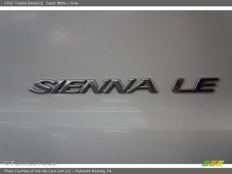 Super White / Gray 2002 Toyota Sienna LE
