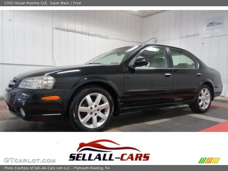 Super Black / Frost 2003 Nissan Maxima GLE