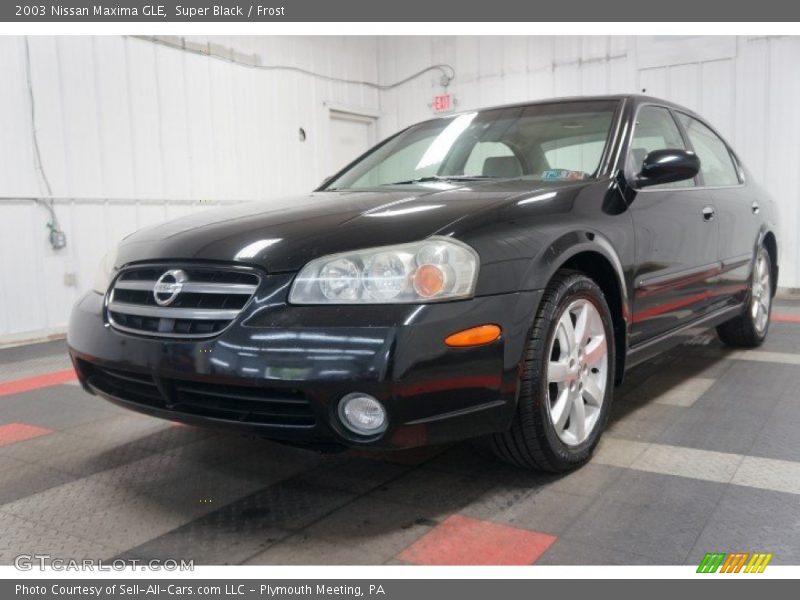 Super Black / Frost 2003 Nissan Maxima GLE