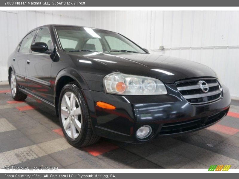 Super Black / Frost 2003 Nissan Maxima GLE