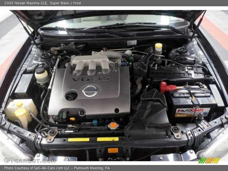 Super Black / Frost 2003 Nissan Maxima GLE
