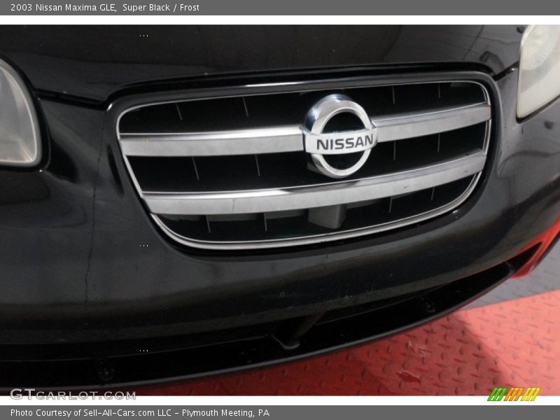 Super Black / Frost 2003 Nissan Maxima GLE