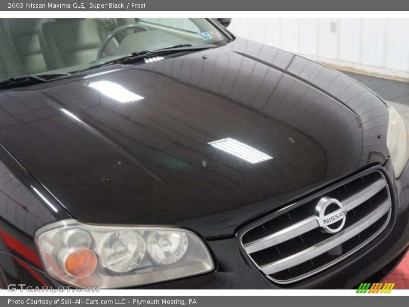 Super Black / Frost 2003 Nissan Maxima GLE