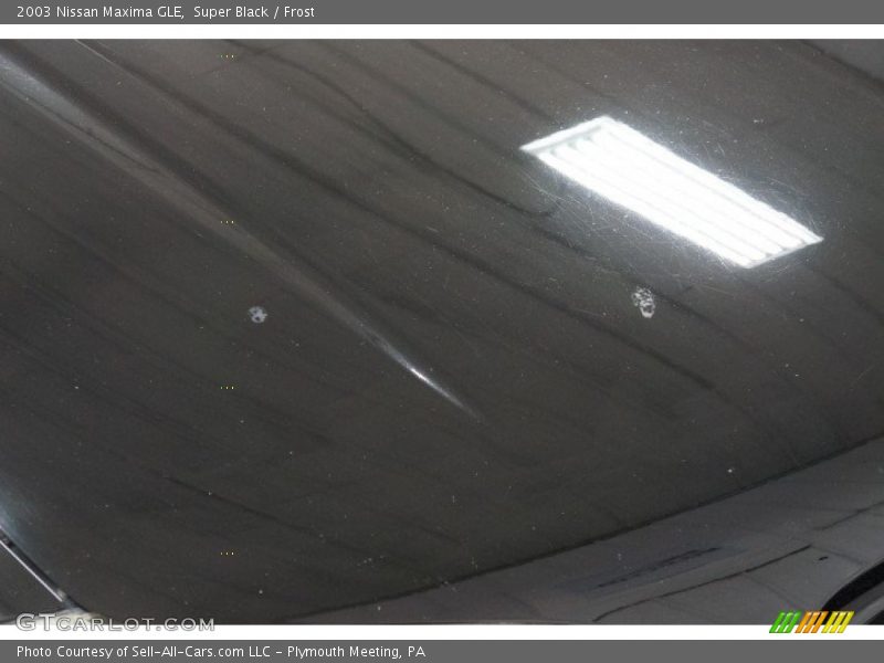 Super Black / Frost 2003 Nissan Maxima GLE