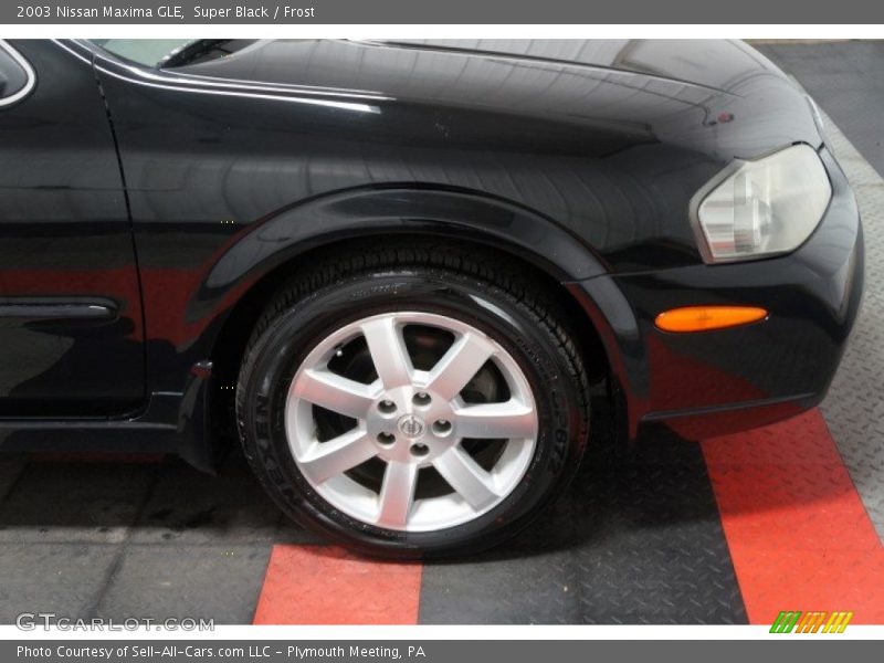 Super Black / Frost 2003 Nissan Maxima GLE