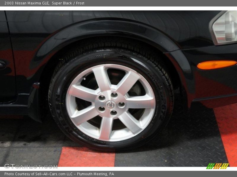 Super Black / Frost 2003 Nissan Maxima GLE