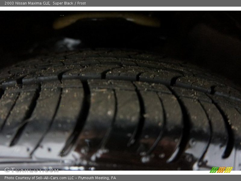 Super Black / Frost 2003 Nissan Maxima GLE