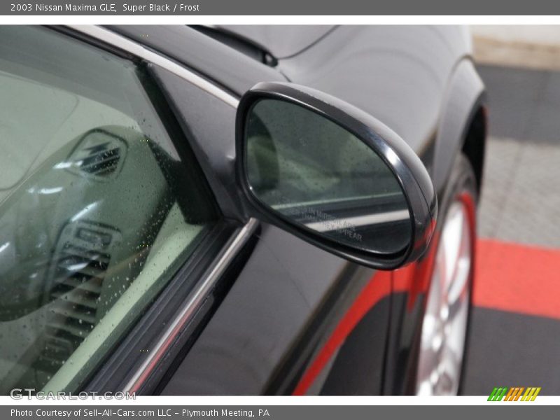 Super Black / Frost 2003 Nissan Maxima GLE
