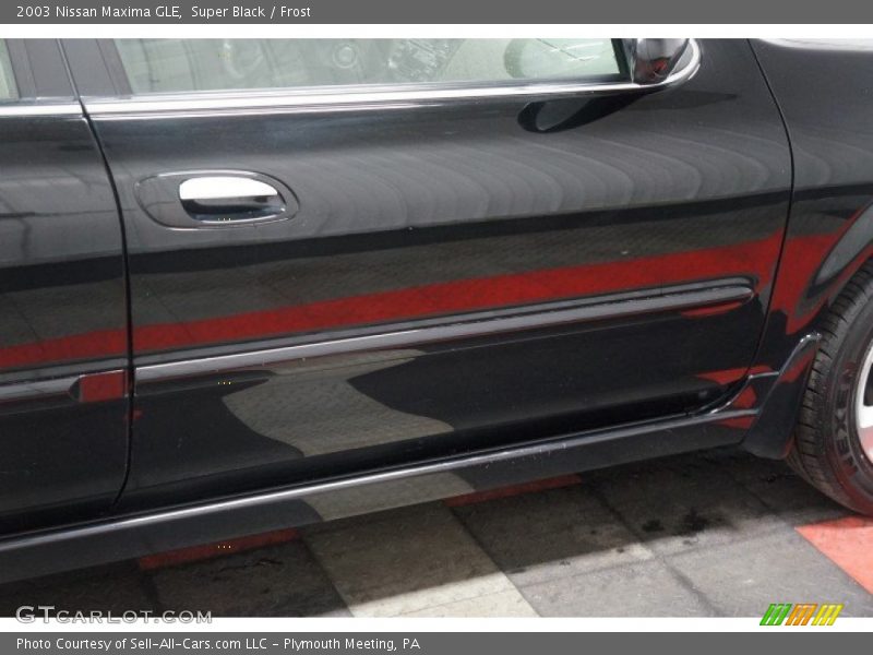 Super Black / Frost 2003 Nissan Maxima GLE