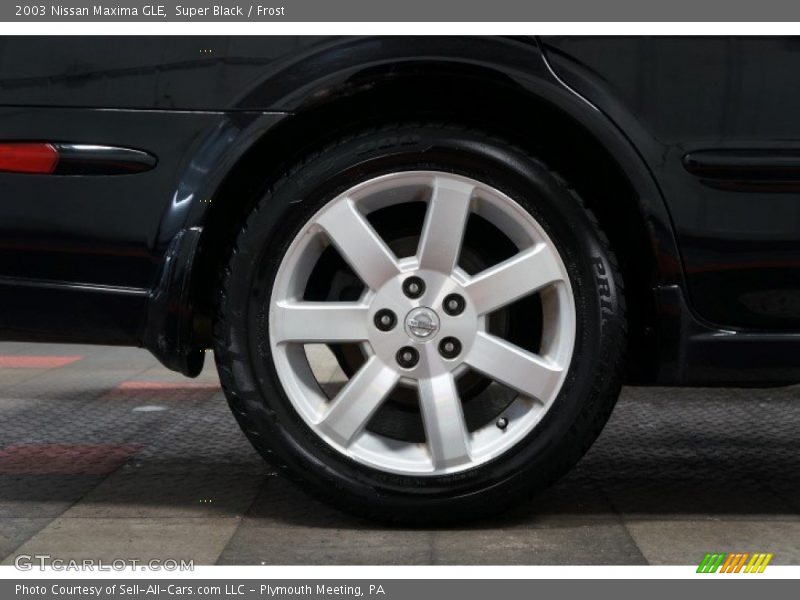 Super Black / Frost 2003 Nissan Maxima GLE