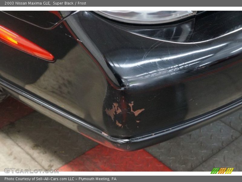 Super Black / Frost 2003 Nissan Maxima GLE