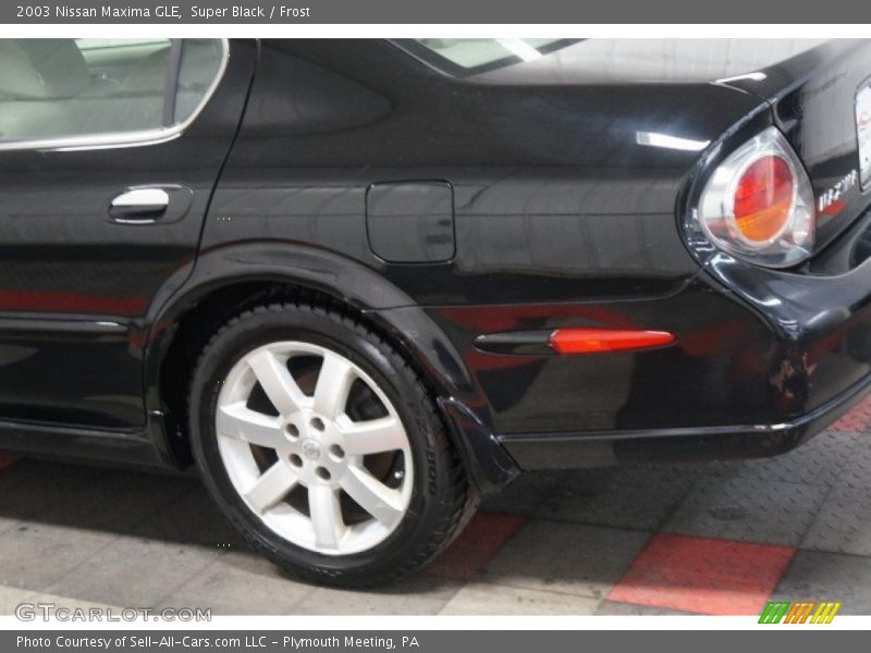 Super Black / Frost 2003 Nissan Maxima GLE