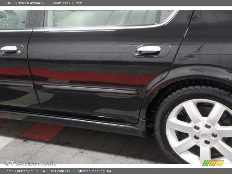 Super Black / Frost 2003 Nissan Maxima GLE