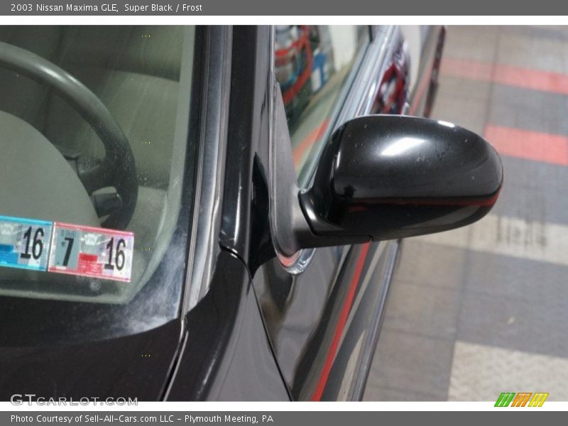 Super Black / Frost 2003 Nissan Maxima GLE