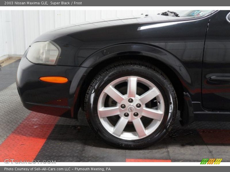 Super Black / Frost 2003 Nissan Maxima GLE