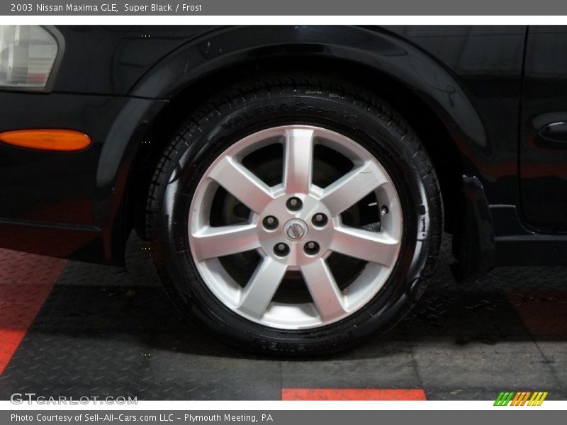 Super Black / Frost 2003 Nissan Maxima GLE