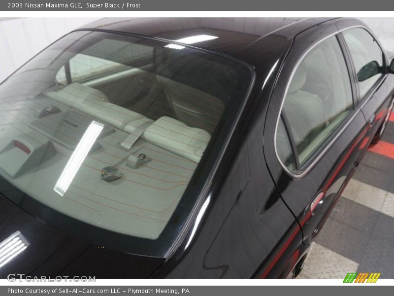 Super Black / Frost 2003 Nissan Maxima GLE