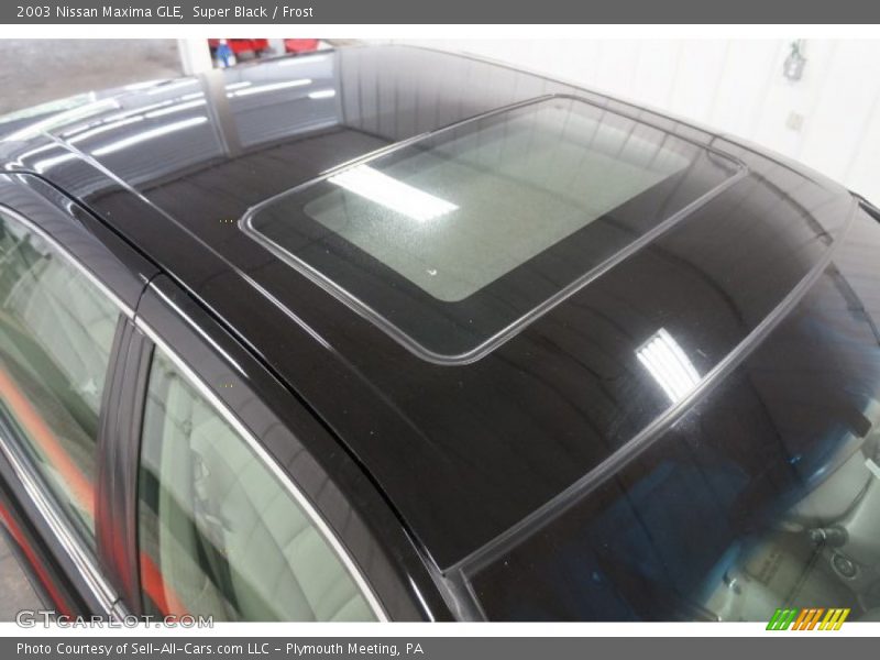 Super Black / Frost 2003 Nissan Maxima GLE