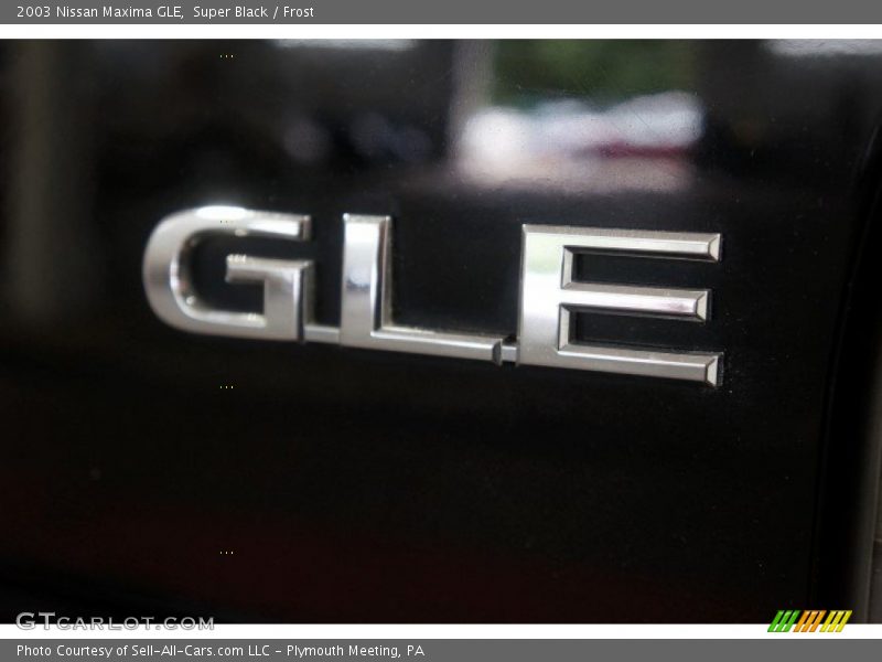 Super Black / Frost 2003 Nissan Maxima GLE