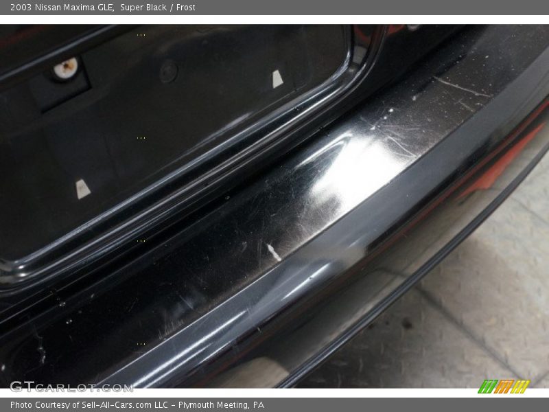 Super Black / Frost 2003 Nissan Maxima GLE