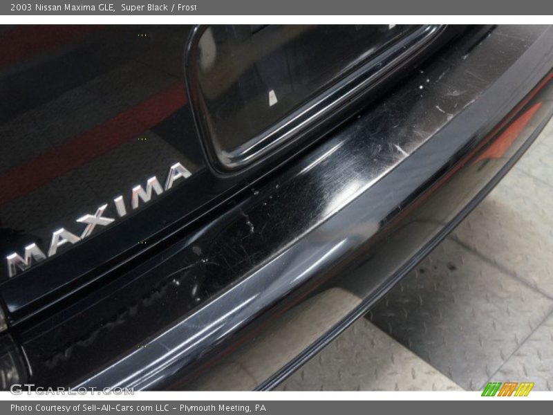 Super Black / Frost 2003 Nissan Maxima GLE