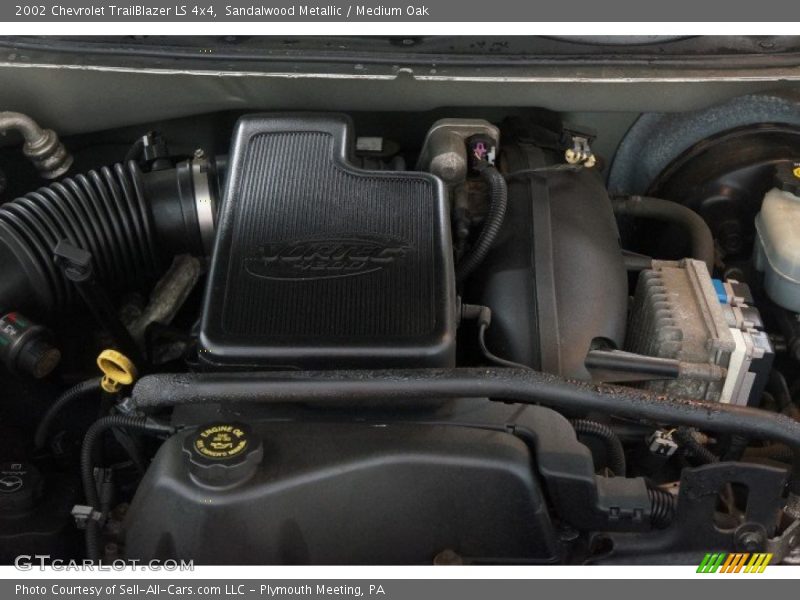 Sandalwood Metallic / Medium Oak 2002 Chevrolet TrailBlazer LS 4x4