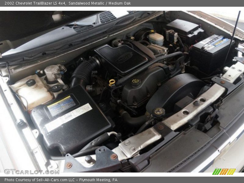 Sandalwood Metallic / Medium Oak 2002 Chevrolet TrailBlazer LS 4x4