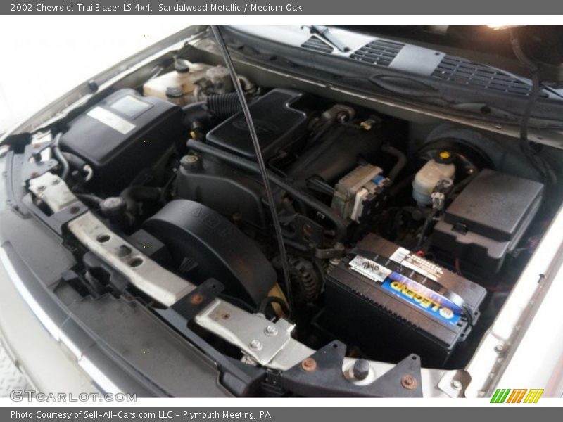 Sandalwood Metallic / Medium Oak 2002 Chevrolet TrailBlazer LS 4x4