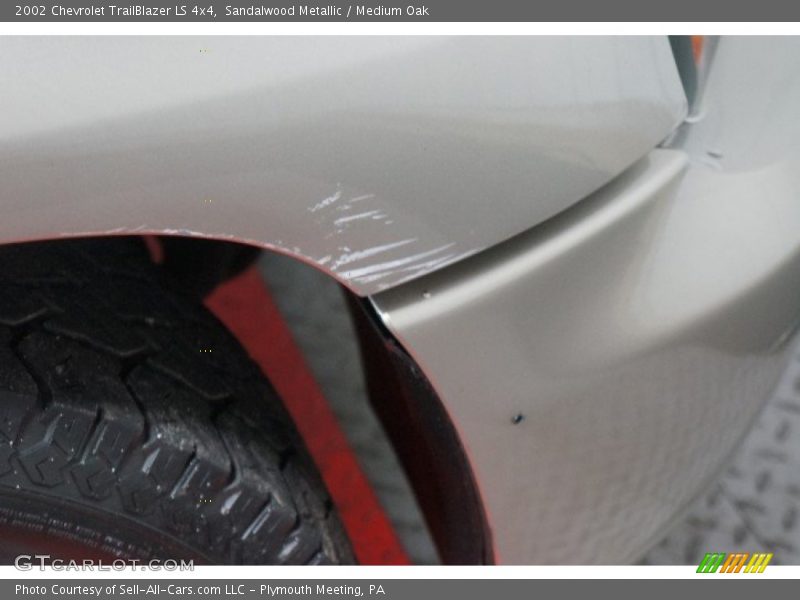 Sandalwood Metallic / Medium Oak 2002 Chevrolet TrailBlazer LS 4x4