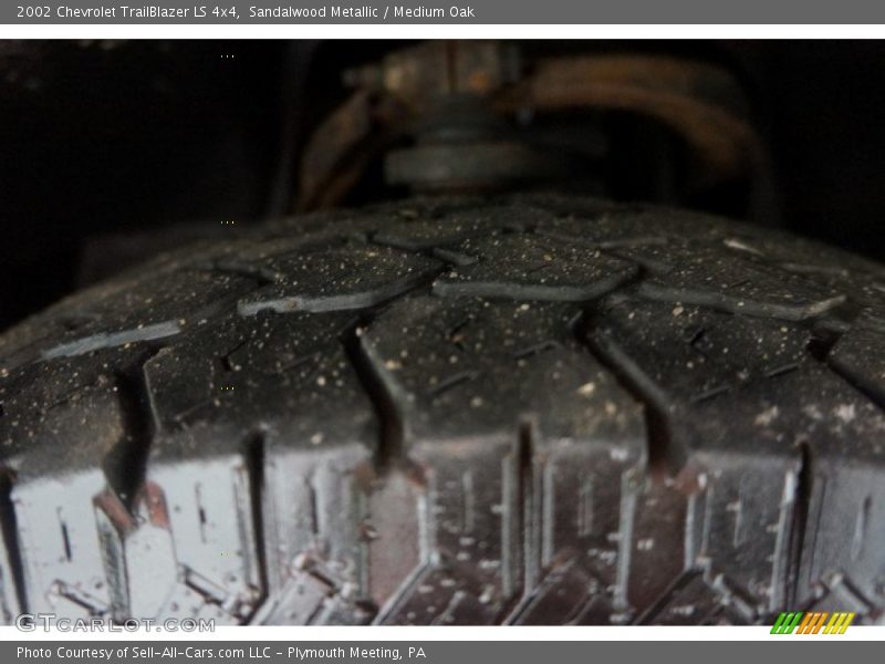 Sandalwood Metallic / Medium Oak 2002 Chevrolet TrailBlazer LS 4x4