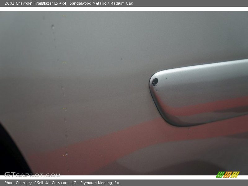 Sandalwood Metallic / Medium Oak 2002 Chevrolet TrailBlazer LS 4x4