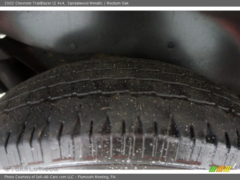 Sandalwood Metallic / Medium Oak 2002 Chevrolet TrailBlazer LS 4x4