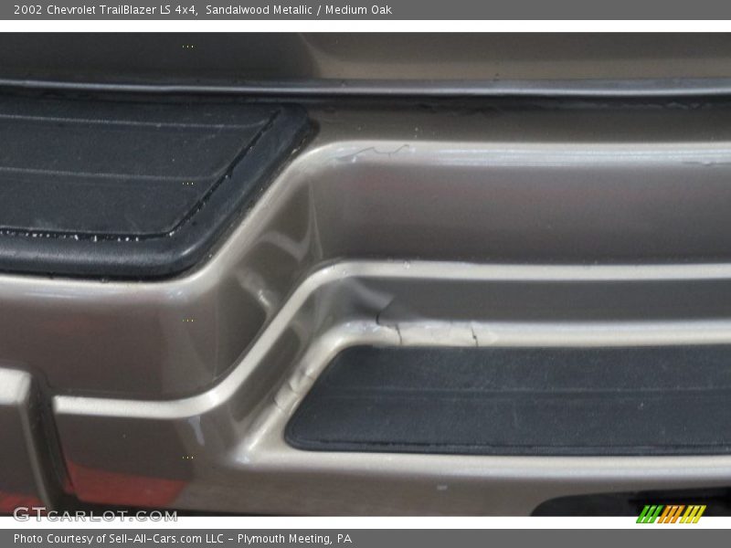 Sandalwood Metallic / Medium Oak 2002 Chevrolet TrailBlazer LS 4x4
