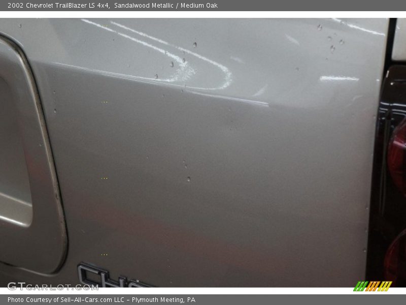 Sandalwood Metallic / Medium Oak 2002 Chevrolet TrailBlazer LS 4x4