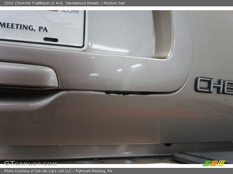 Sandalwood Metallic / Medium Oak 2002 Chevrolet TrailBlazer LS 4x4
