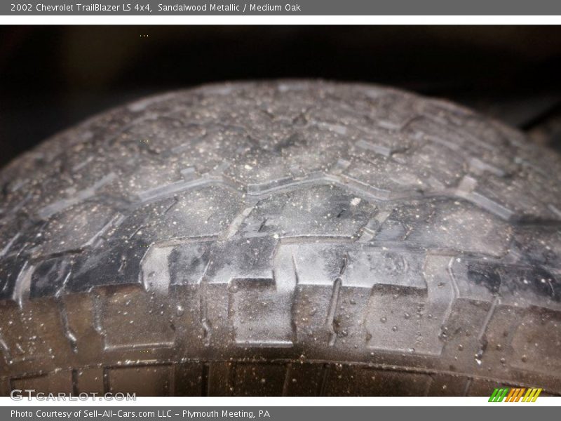 Sandalwood Metallic / Medium Oak 2002 Chevrolet TrailBlazer LS 4x4